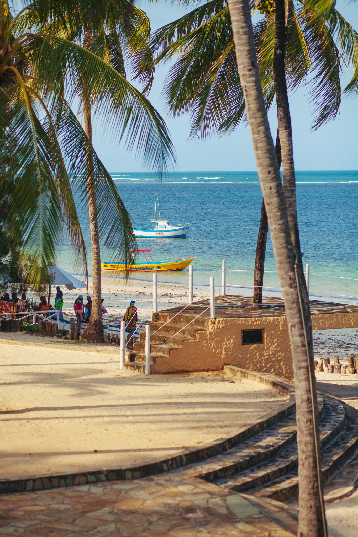Indian Ocean through palm trees